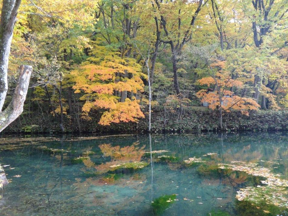 秋・鳥沼公園