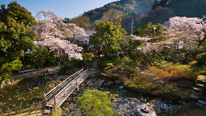 【日本庭園】季節ごとに表情を変える“;三千坪”;の日本庭園は、いつ見ても目新しいもの