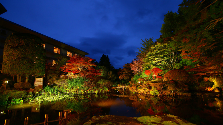 【庭園】夜のライトアップで一層美しい日本庭園