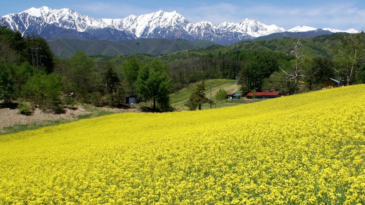 周辺観光地「中山高原」