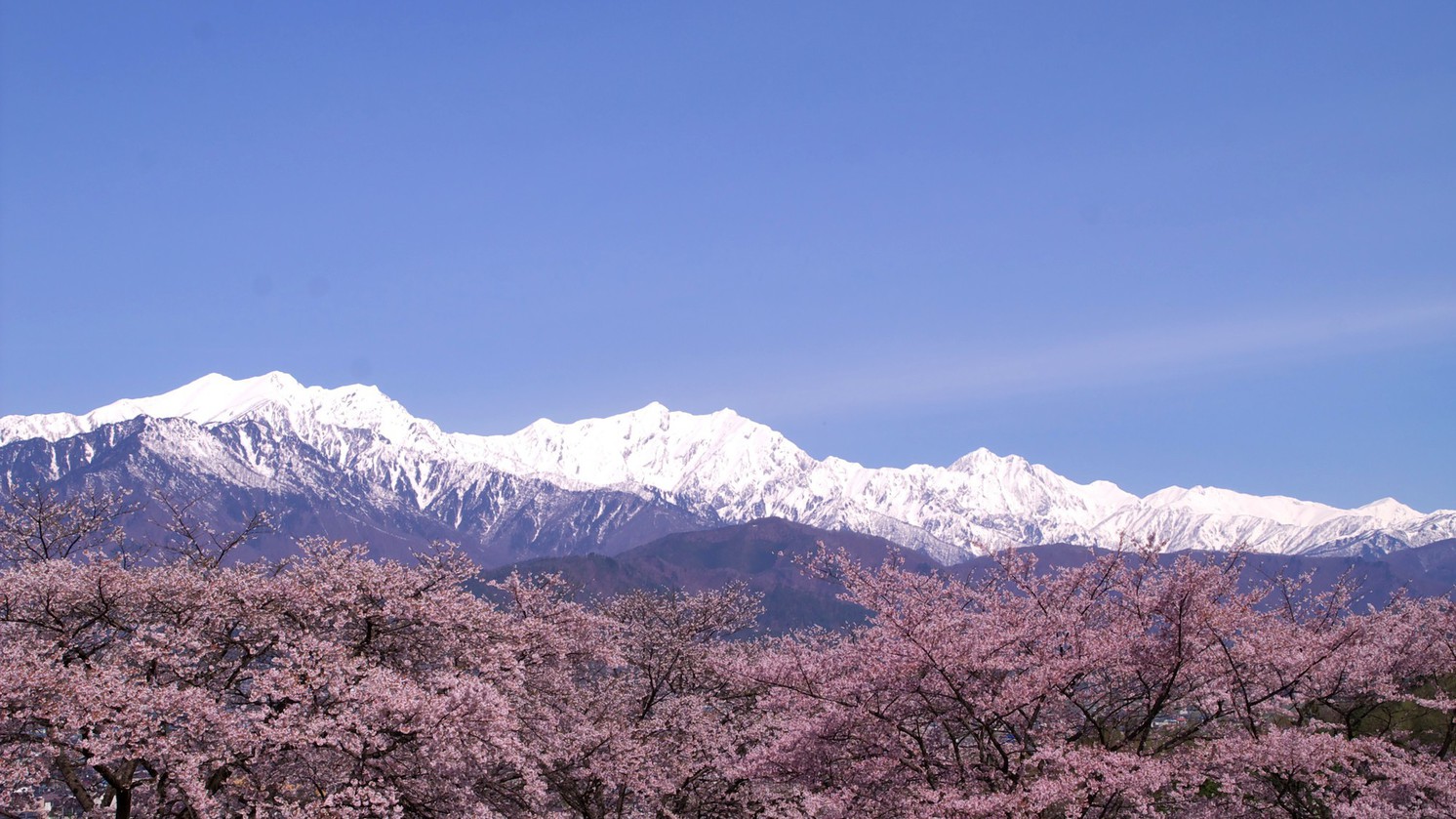 周辺観光地「春の北アルプス」