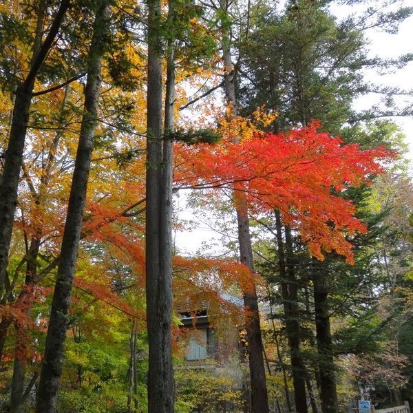 軽井沢、秋の風景