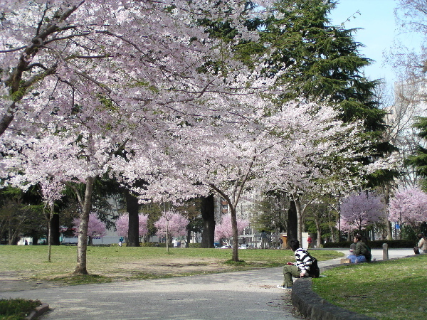 錦町公園.jpg