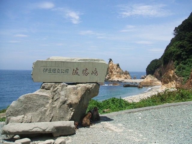 波勝崎野猿公園内の海