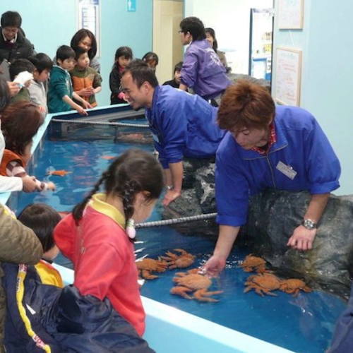 竹島水族館