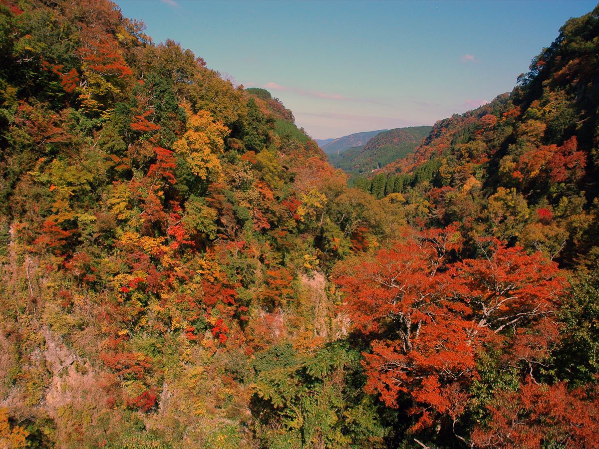 九酔渓の景色紅葉