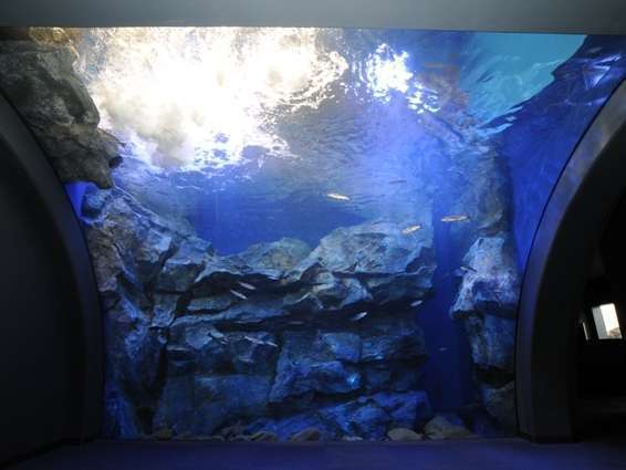 2012年7月にオープンした「山の水族館」。温根湯の新観光名所として多くの人が訪れています