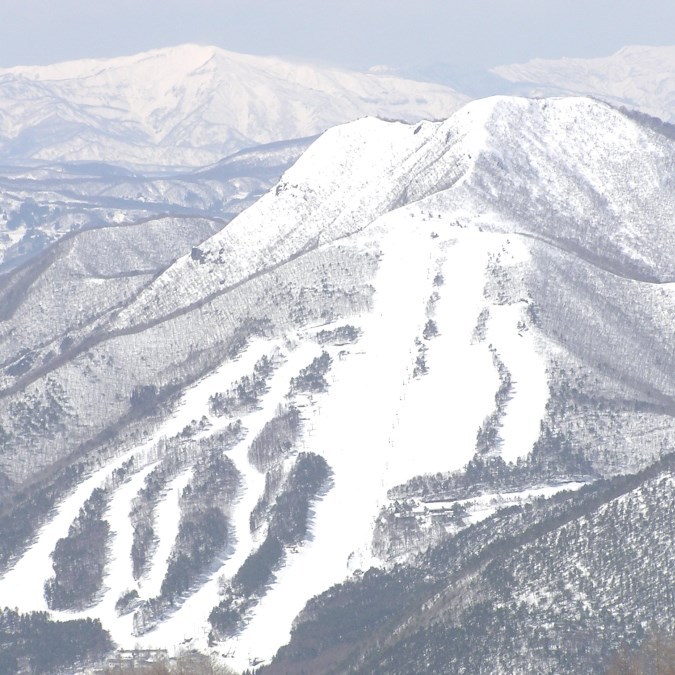 よませ温泉スキー場&X-JAM高井富士共通リフト券の宿泊者限定割引券があります。