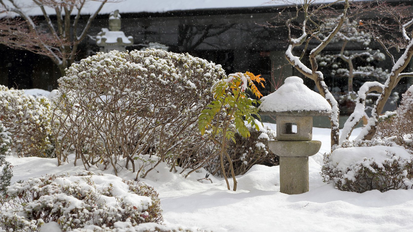 冬の庭園