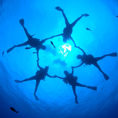 Enjoyダイビング♪