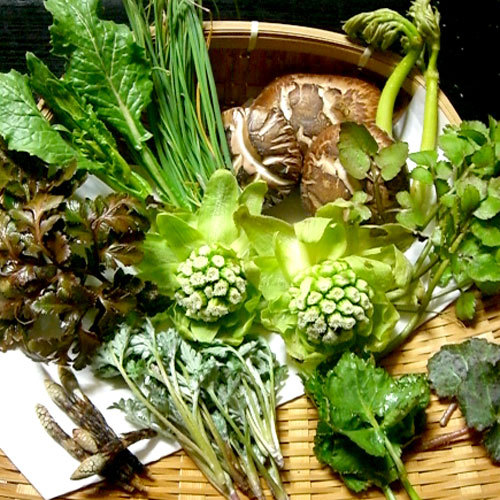 Radium Onsen Kasumiso Image 3, Nakatsugawa, Japan