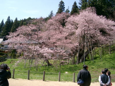 Minshuku Sumireso Image 5, Takayama, Japan