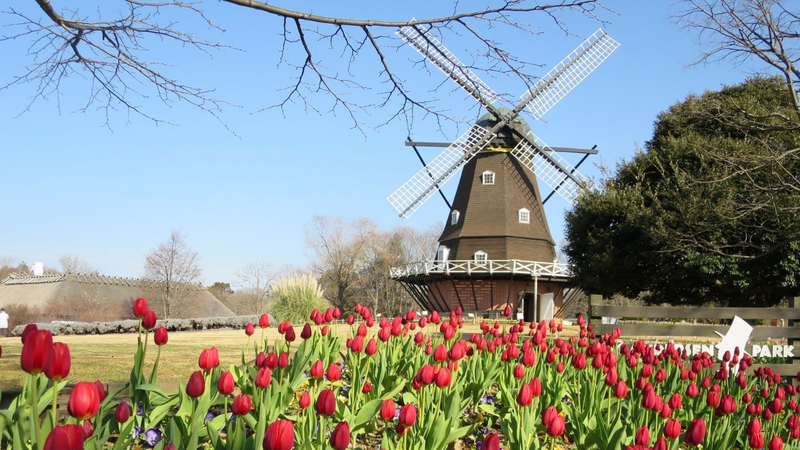 船橋アンデルセン公園