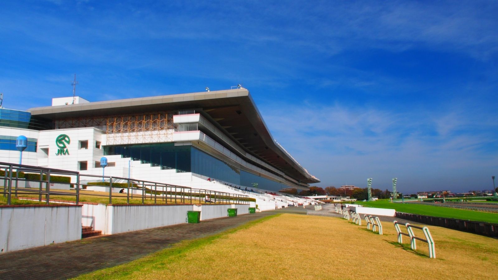 中山競馬場
