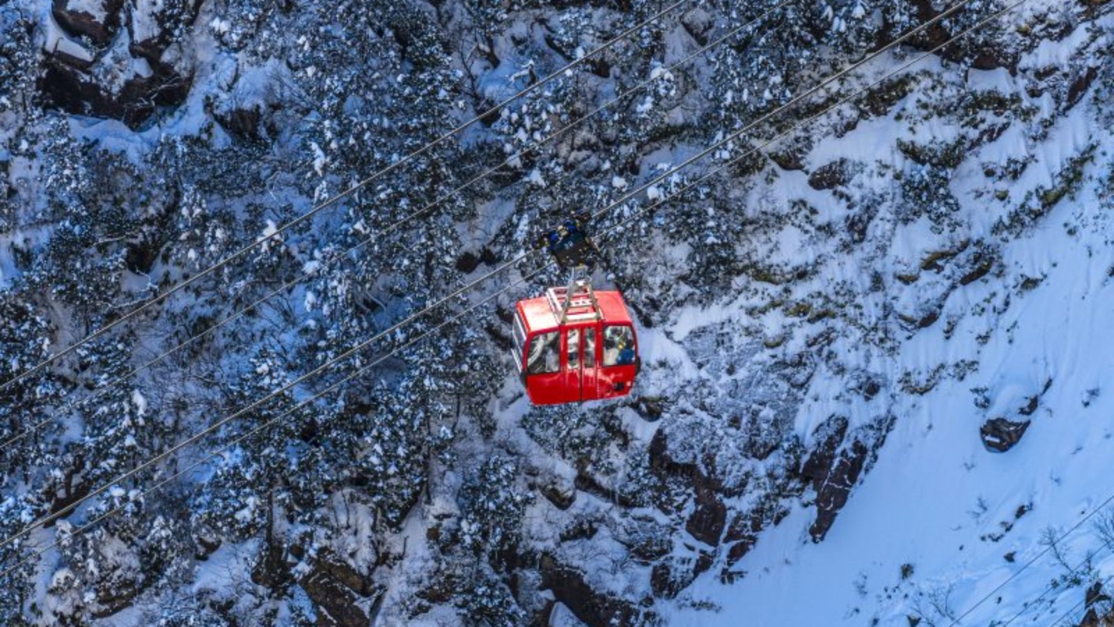 冬の御在所岳ロープウェイ綺麗な雪化粧を眺める事ができます。