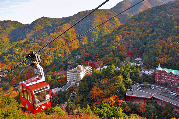 湯の山の向陽は絶景です！