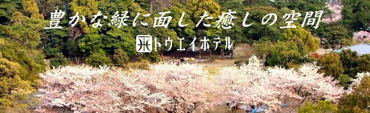 ホテル前公園全景