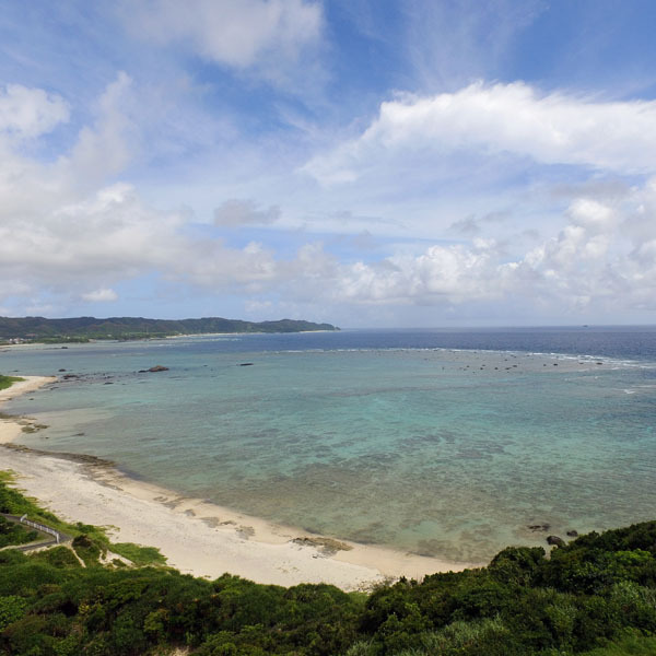 奄美大島リゾートホテル コーラルパームス 奄美大島 の写真 フォトギャラリー His旅プロ 国内旅行ホテル最安値予約