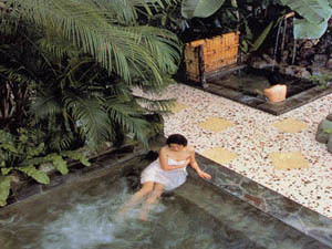 This photo about Jungle Palace shared on HyHotel.com