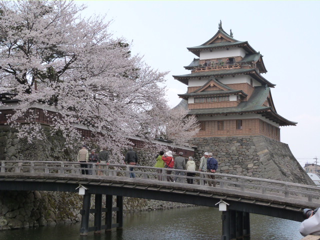 【春】4月中旬高島城の桜が見頃です
