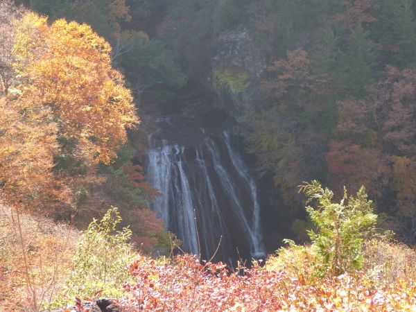 【秋】10月下旬横谷渓谷の王滝を横谷観音の所から見ました