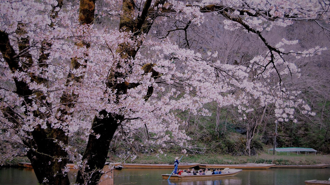 Higashiyama Kanko Hotel Image 2, Ichinoseki, Japan