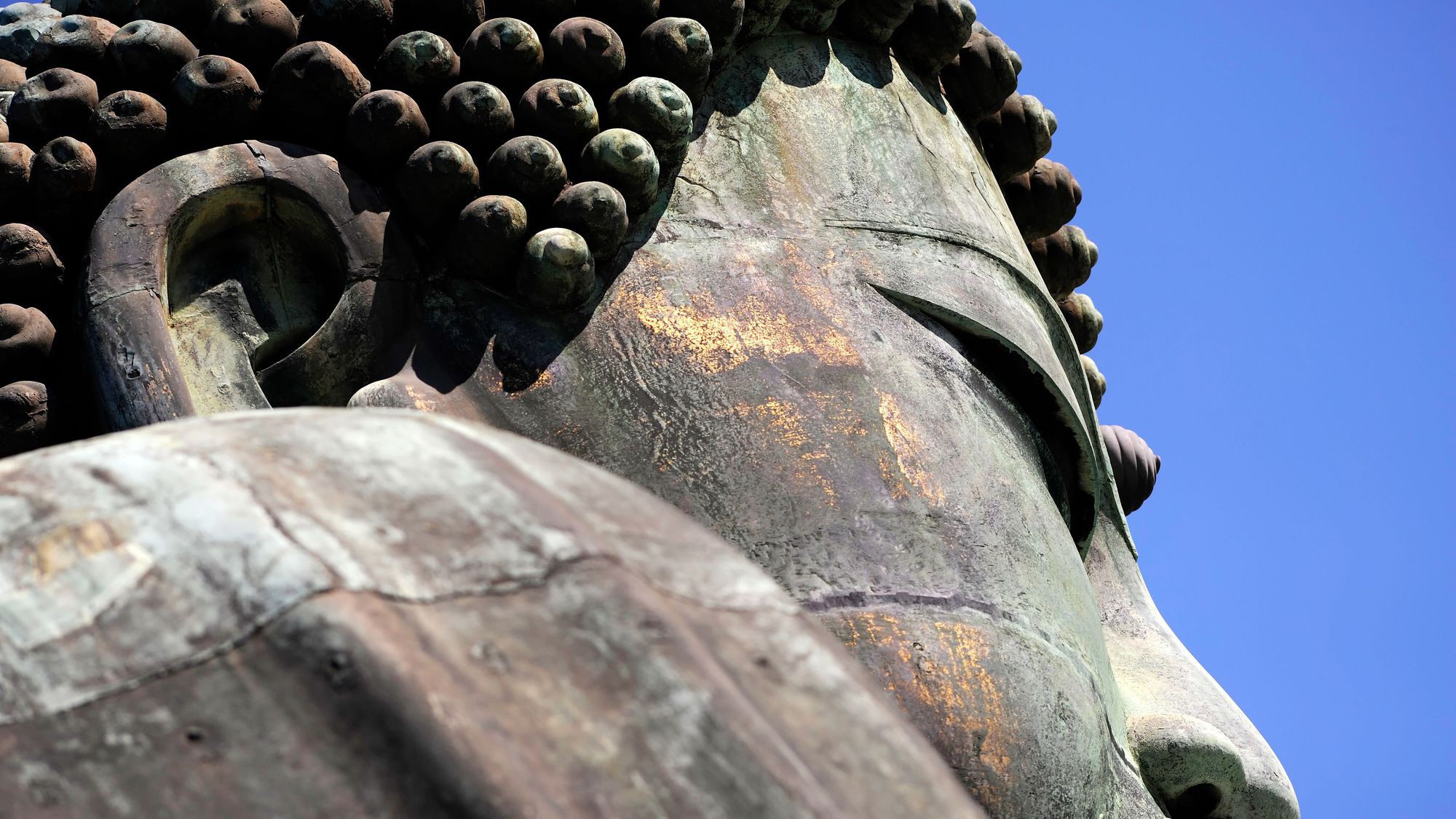 高徳院鎌倉大仏国宝銅造阿弥陀如来坐像「露坐の大仏」像高約１１、３ｍ重量約１２１ｔ 