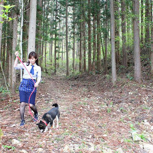 愛犬ココアのお散歩