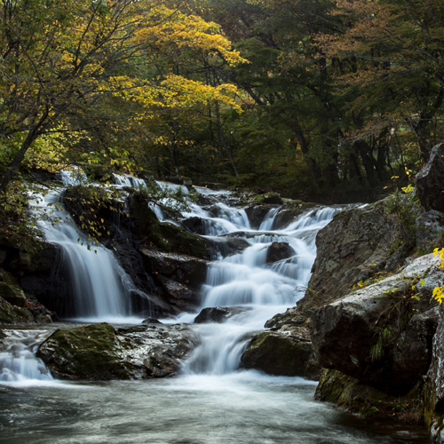 鶯宿逢滝