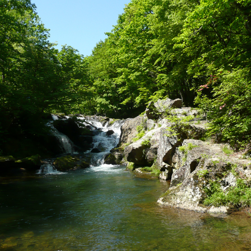 鶯宿 夏の逢滝