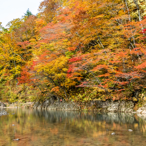 葛根田渓谷紅葉