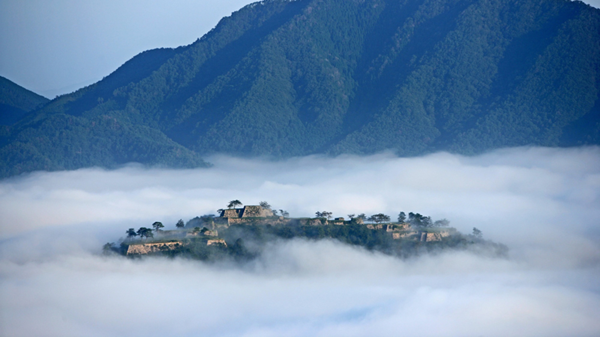 *【竹田城】早朝に濃霧が発生すると城が雲海に浮かんでいるように見えます