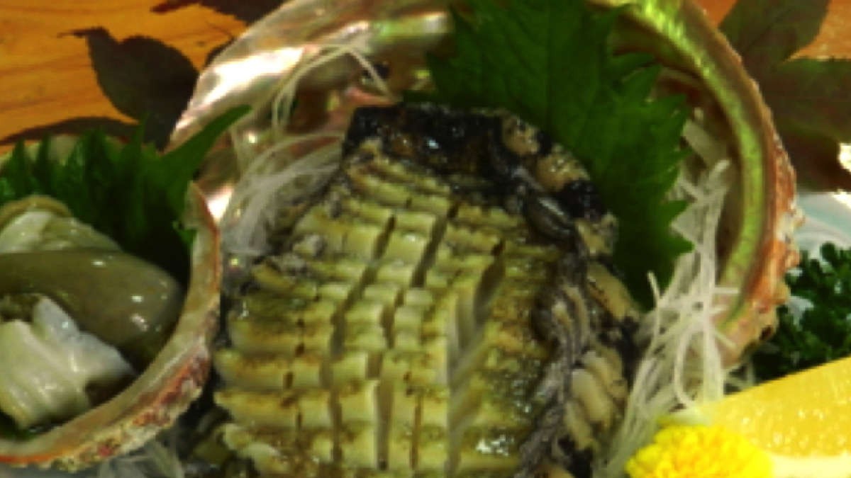 新鮮！だから美味しい＊贅沢アワビのお造り♪（イメージ）