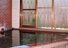 Nishidani Onsen Chuseikan in the Heart of Nagaoka, Japan: Reviews on Nishidani Onsen Chuseikan