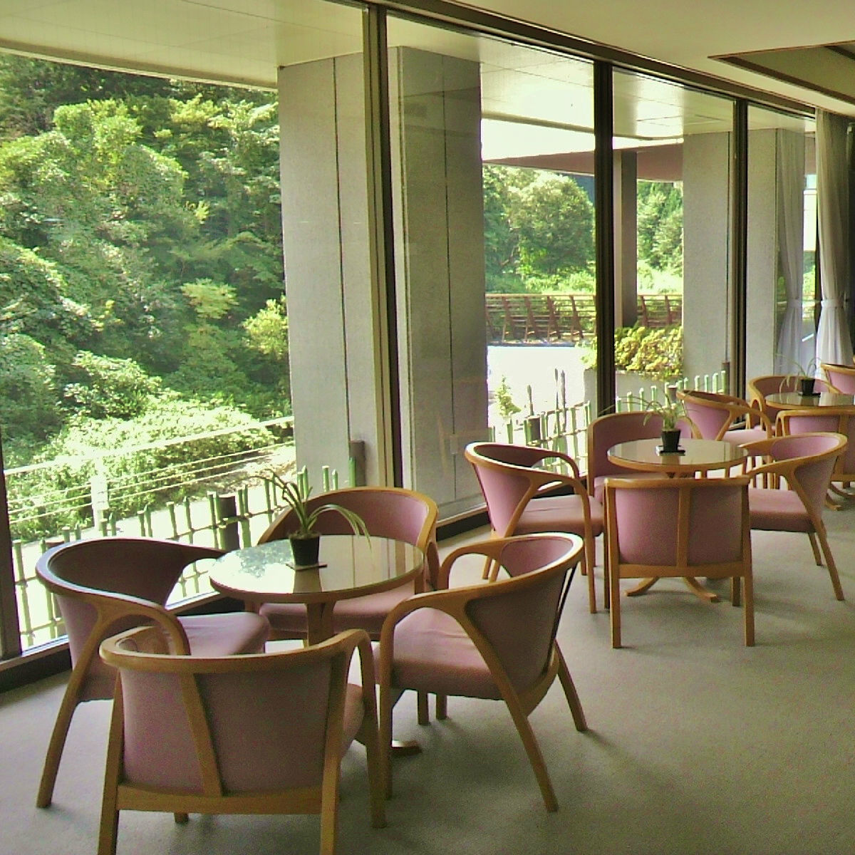 【ラウンジ】グリーンシーズン