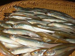 Yamanakakan Image 5, Omachi, Japan