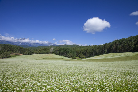 「おひさま」ロケ地”;中山高原”;
