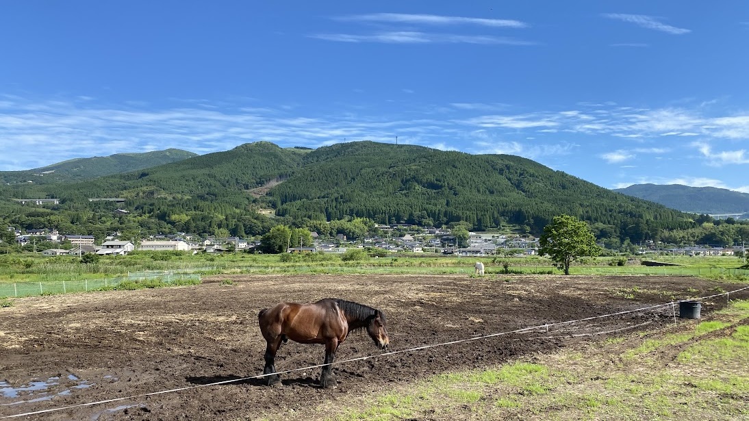 【周辺観光】美しい景観と馬