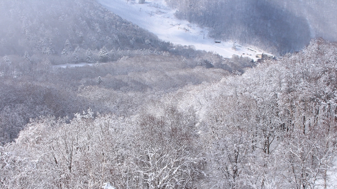 一面に広がる雪景色志賀高原は日本屈指のスノーリゾートです。