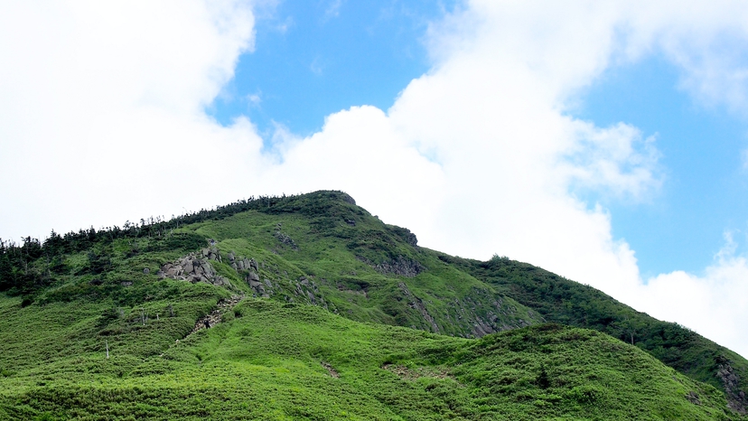 標高2，295m。日本二百名山の一つ岩菅山です。