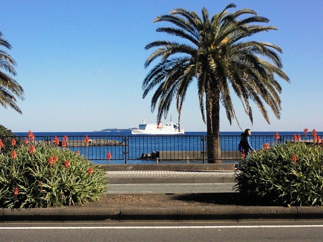 オレンジビーチを望む