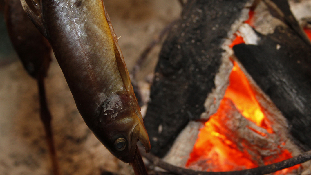 【自慢の田舎料理】炭火でじっくり焼き上げた岩魚は皮パリッと、身ホクホクでたまらない！