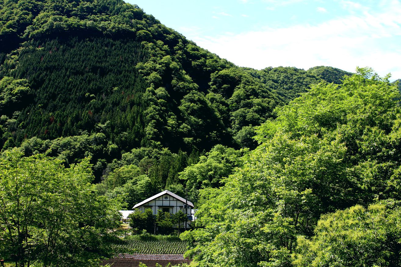 緑の山々に囲まれて『民宿やま久』