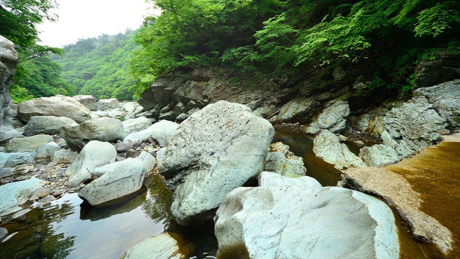 野天風呂渓谷の絶景