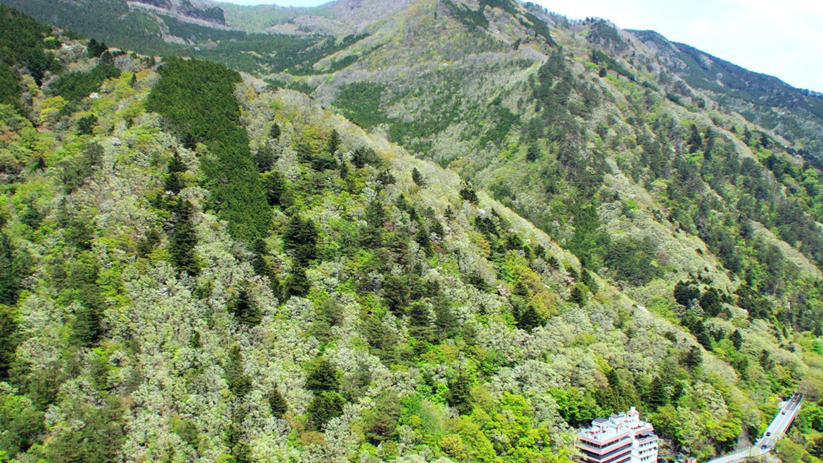 ブナ・ナラの森に囲まれた山の中に、ポツンと佇んでおります。