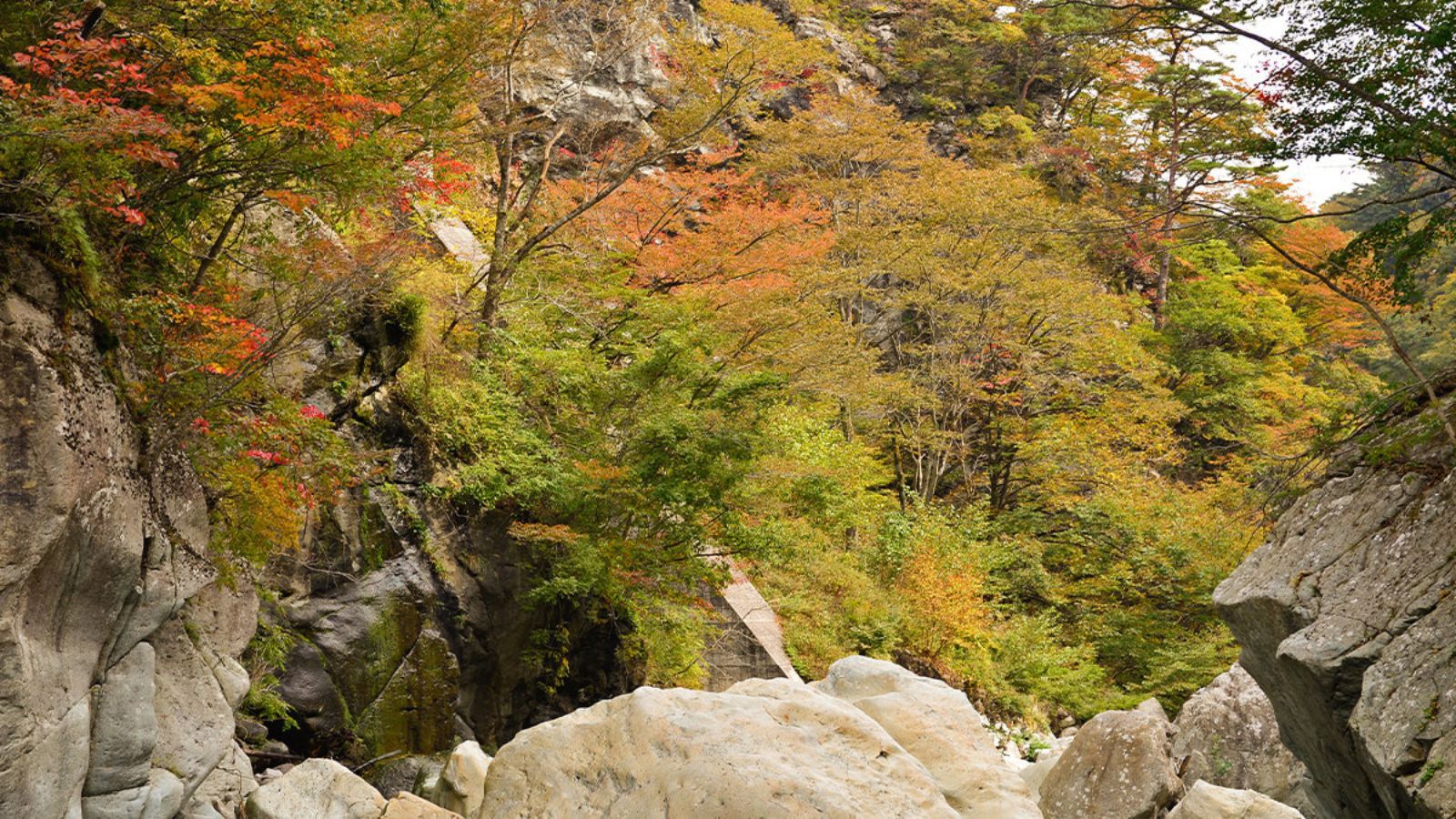 野天風呂の渓谷美紅葉