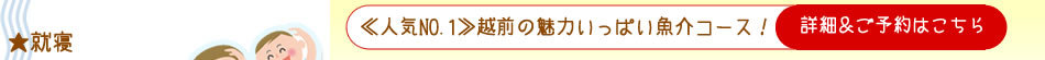 夏休み６プラン１　15