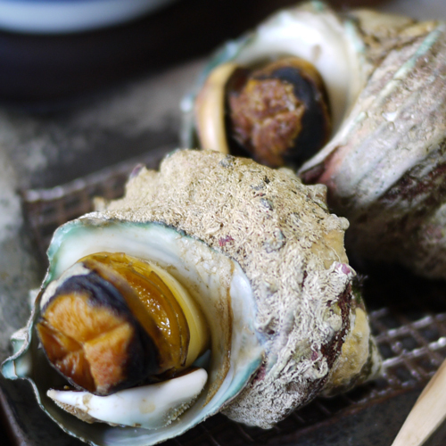 *ご夕食イメージ：さざえの壺焼き