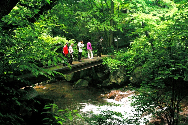 横谷峡には6kmの遊歩道があり、自然とふれあえます。
