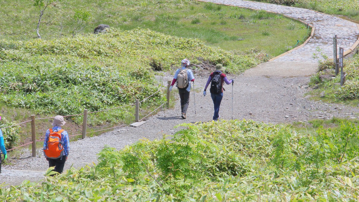 夏はトレッキングで楽しもう！